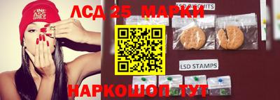ПСИЛОЦИБИНОВЫЕ ГРИБЫ Гатчина
