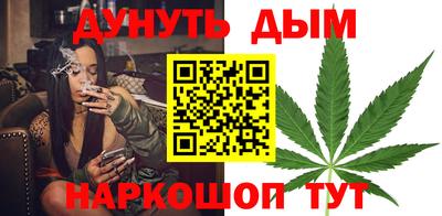 шишки Гагарин