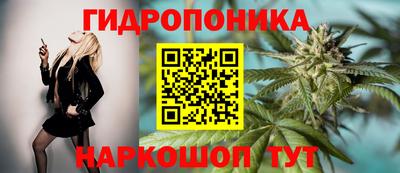 ПСИЛОЦИБИНОВЫЕ ГРИБЫ Гатчина