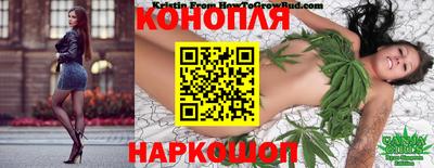 ПСИЛОЦИБИНОВЫЕ ГРИБЫ Гатчина