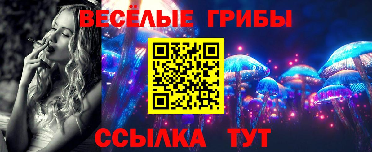 Гулькевичи  Псилоцибиновые грибы MAGIC MUSHROOMS  Вход с VPN 